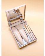 5pcs Makeup Brush Set With Storage Box , Travel Essentials