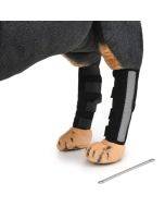 Pet Knee Pads Dog Leg Guards Pet Protective Gear Surgery Injury Sheath