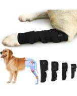 DogLemi PD60041 Dog Hock Brace Pet Supportive Rear Dog Compression Leg Joint Wrap Protects Wounds and Injury