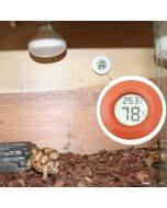 Digital Round Shaped Reptile Box Centigrade Thermometer & Hygrometer with Screen Display (Orange)