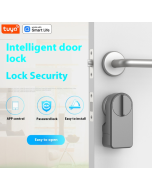 Tuya smart door lock smart home equipment home bedroom living room punch-free password lock wireless smart door lock