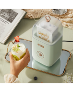 Bear Yogurt Maker/Household Mini Natto Maker