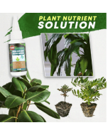 Get 49% OFF the 2023 Hot Sale Plant Nutrient Solution with BUY 3 GET 2 FREE
