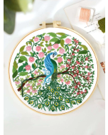 1pc Hand Embroidery Kit: Modern Peacock Pattern for Home.