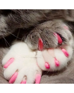 New FASHION colorful Cat Nail cover soft cat Claw Soft Paws 20 PCS/lot with free Adhesive Glue Size XS S M LGift for pet