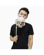 Halloween cosplay horror mask handheld skull skeleton mask