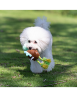 Dog Teething Plush Toy Built-in Squeeze Audible Cotton Rope Feet Plush Play