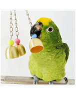 Creative pet supplies Parrot copper bell toys