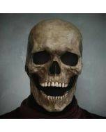 Full Head Skull mask