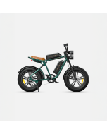 ENGWE M20 13Ah 750W 20*4.0 Fat Tire Electric Bike 60-75km Mileage Range E Bike for Mountain Snowfield Road - Black