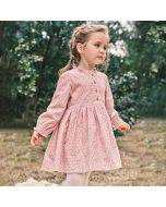Little maven girl's dress autumn children's skirt Europe and the United States new cotton long-sleeved children's skirt male main dress