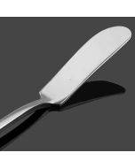 Stainless steel butter knife