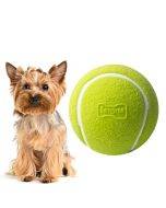 og Toy Latex Dog Bite Sound Ball Pet Toys, Specification: Green Tennis