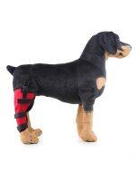 HJ19 Pet Surgery Rehabilitation Leg and Foot Protection Walking Aids RED